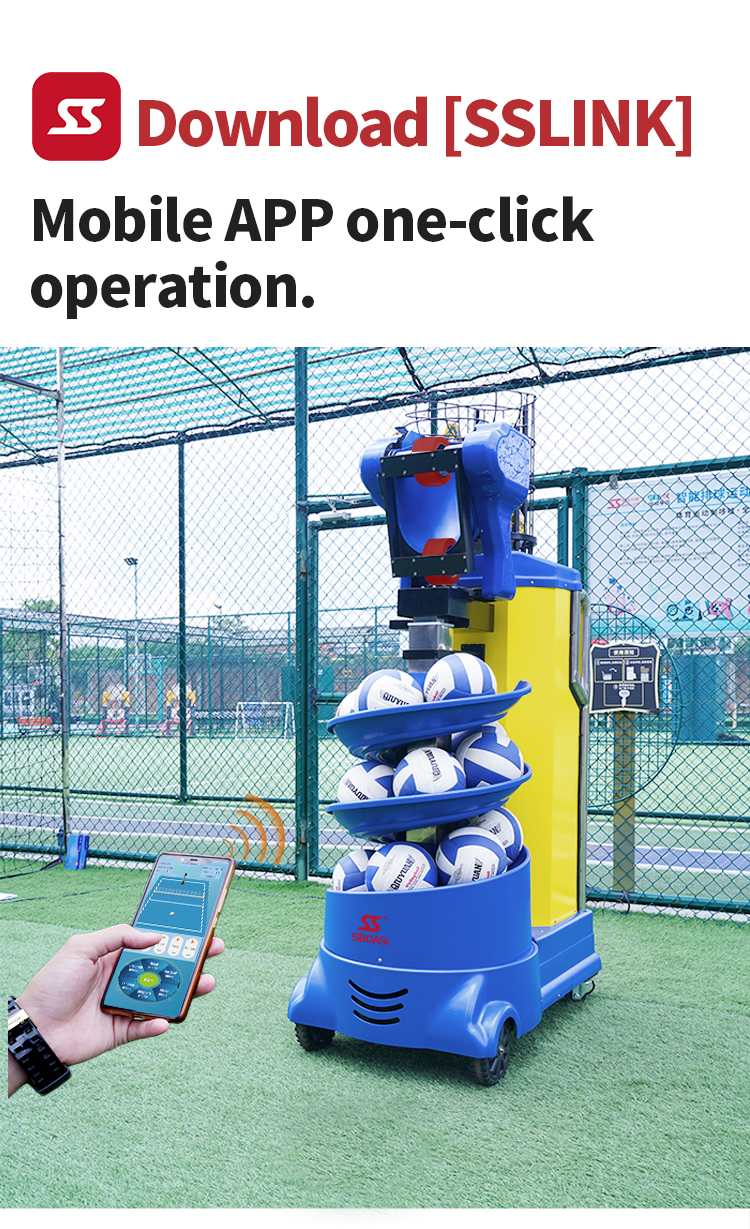 V2201A_08.jpg